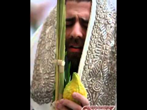 MORDECHAI BEN DAVID LULAY