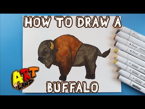 Buffalo Drawing