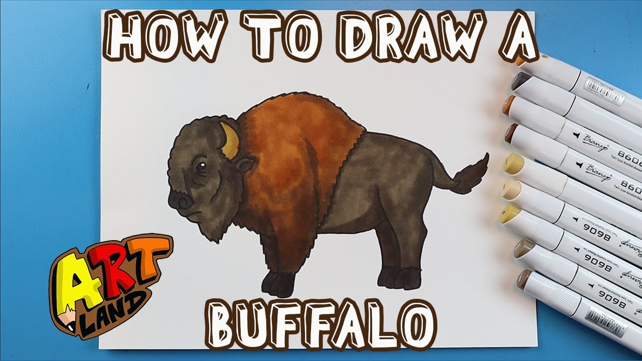 How to Draw a BUFFALO