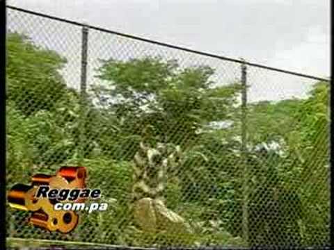 Papa Chan- Pala Cerca