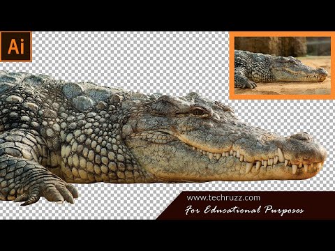How to Create an Invoice Design in Adobe Illustrator CC