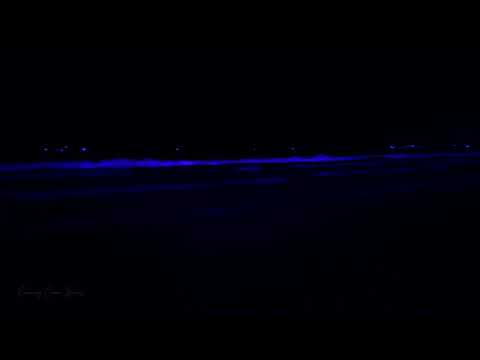 5K Tropical Beach Night - 8 HOURS of Soothing Nature Night Sounds for Relaxation and Sleep