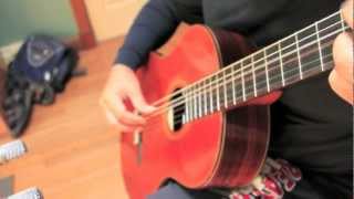 Savage Classical Guitar - Darren Hippner #691 - Fleta Model
