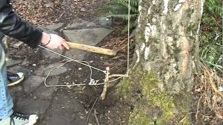 How to build a tripwire snare trap