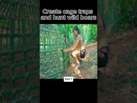 Wild Animal Attack, Big Wild Boar Trap, Monster Trap | Survival Alone #skilltrap #Pigtrap #animals