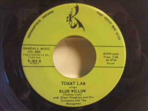 Tommy Lam - Blue Willow