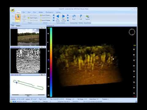 CodaOctopus Echoscope® Real-Time 3D Sonar - Tall Grasses and Trees