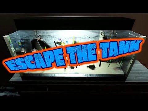 Gameplay de Escape The Tank