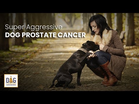 Tratamiento hormonal cáncer de próstata efectos secundarios