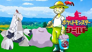 厳選デビュー　ジュラルドン　レイドもやりたい