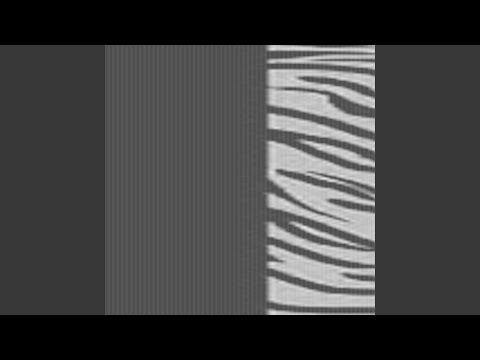 O TIGRE (Extended Version)