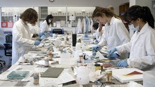 A Day in the Life of a Harvard Computer Science Student