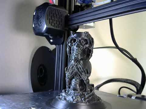 3 wise skulls time-lapse