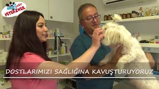 Mavişehir Veteriner Kliniği Tanıtım Videosu
