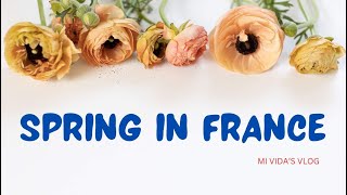 THE BEST PLACE TO SPEND YOUR SPRING BREAK IN 2024 | FRANCE [4K]  #mividasvlog #travel