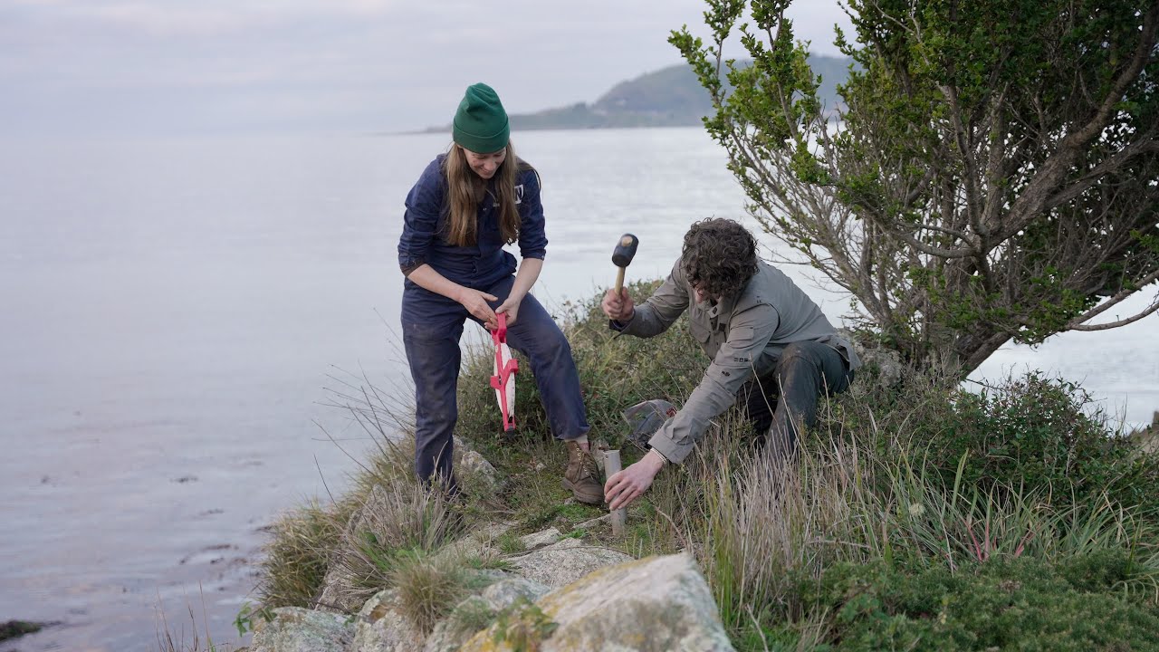 Building a map of Earth's mycorrhizal fungal networks
