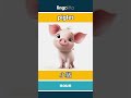 piglet - 小猪 video thumbnail