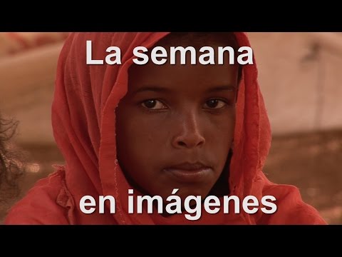 Las noticias de la semana en la ONU (Semana del 5 de febrero de 2016)