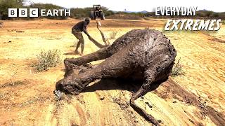 Rescuing Elephants in Northern Kenya | Everyday Extremes | The Travel Edit