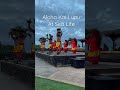 Polynesian Dance #polynesiandance #polynesianmusic #luau #hawaiian #hula