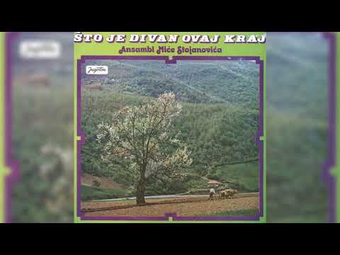 MILUTIN STOJANOVIĆ - DANI PROŠLI