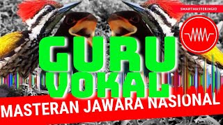 Download lagu Masteran Pelatuk Bawang sambung burung Tengkek buto mp3