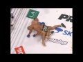 PRIDE 20 Sanae Kikuta Vs Alexander Otsuka