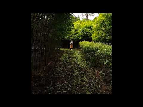 Unjin and Sunji - Summer Dream