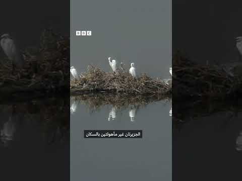 فيديو | خمس حقائق عن تيران وصنافير
