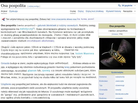 MŁODY DZBAN X ANKOU - ANALHISTA (ZDECHŁY OSA DISS)