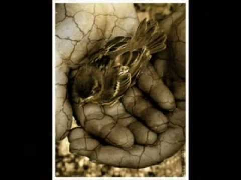 SAvAs YılMaz MapUsHane RanzaLarı ÇaKMaK Cıty