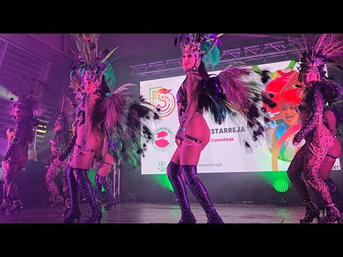 GRES Trepa de Estarreja - Grande Rio 2024 @Festival de Samba de Estarreja 2025