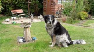 Das Ende Vom Lied  /  Howard Carpendale (1974)