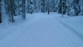 preview picture of video 'Cross country skiing in Ylläs 2005'