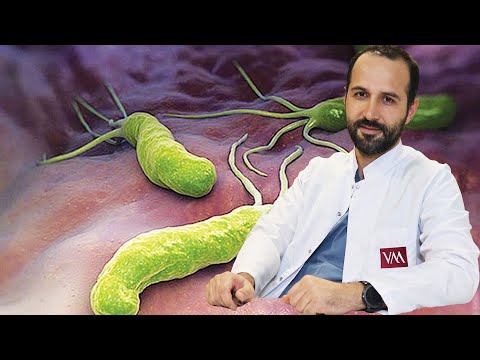 What is Helicobacter Pylori (Stomach Microbe)? How Is It Treated?