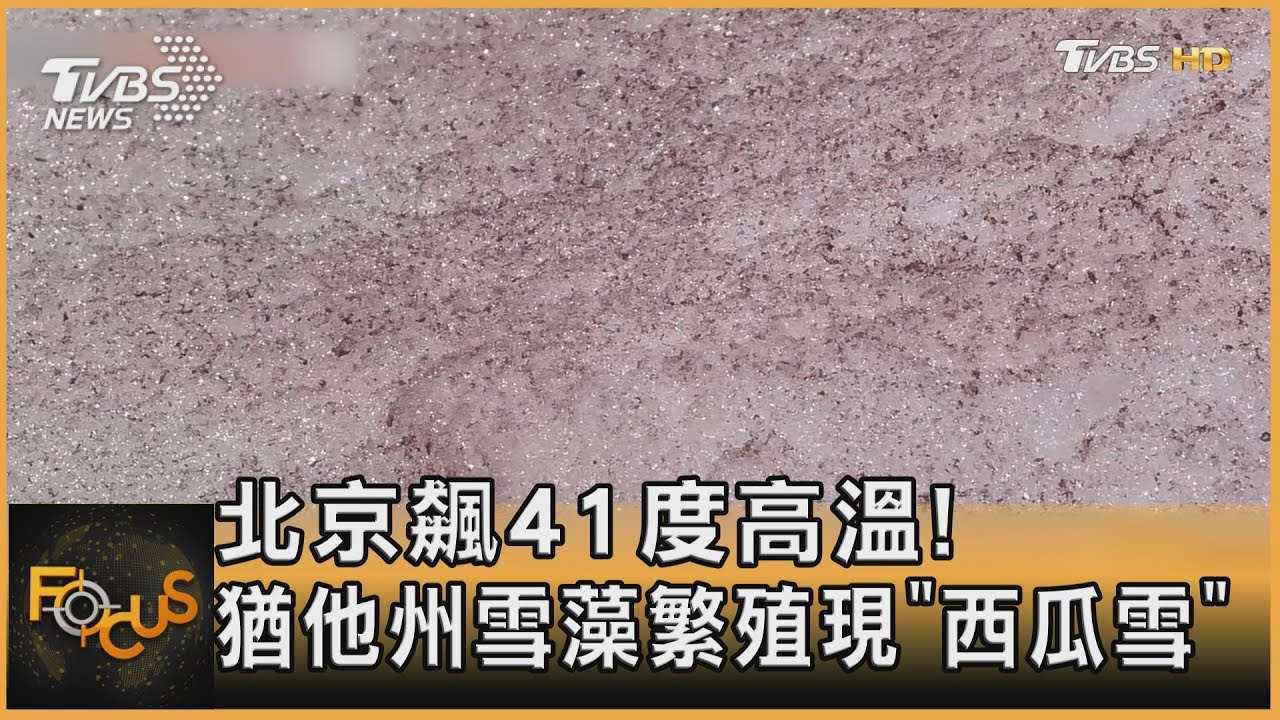 北京飆41度高溫！猶他州雪藻繁殖現「西瓜雪」