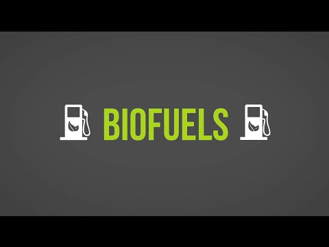 Specifications of biofuels