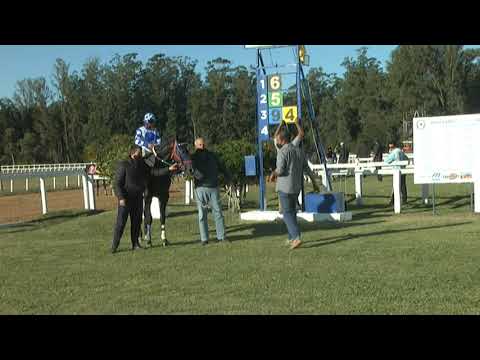 CARRERAS SINT MELO 210506 c05 1° MISTER SULTAN