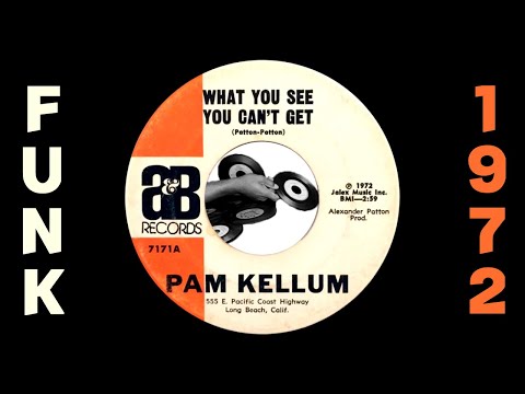 Pam Kellum - What You See You Can't Get [A&B] 1972 Rare Sister Funk 45