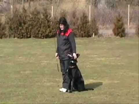 Eassy Z údolí Úpy