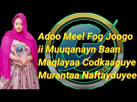 NIMCO DEGAN ADOO MEEL FOG JOOGOO XASUUSTII NIMCO JAAMAC