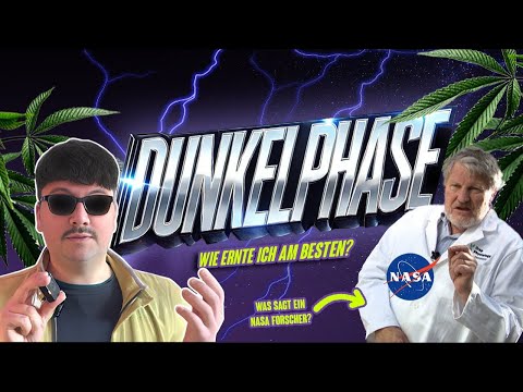 Dunkelphase-Mythos?  // Bro-Science VS Wissenschaft