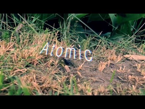Indoor Voices - Atomic