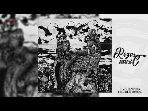 aikko — потолок