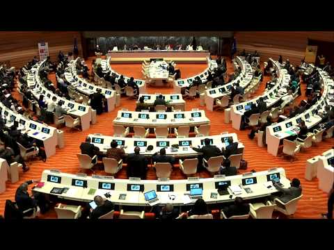 Report of the Director General - 108th IOM Council