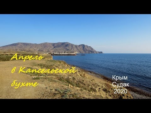 Крым, Судак 2020, Море и лошади в Капсельской бухте в апреле