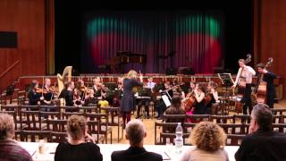 preview picture of video 'Komorní orchestr ZUŠ Liberec - Sonata Paschalis (Semily 03-2015)'
