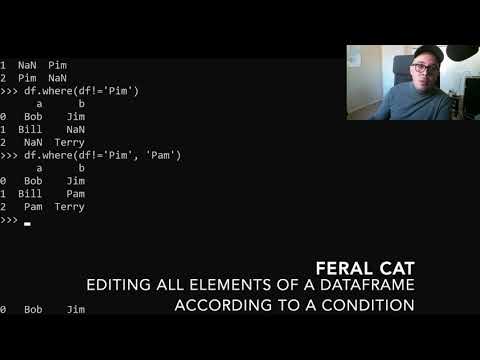 Editing All Elements of a DataFrame According to a Condition