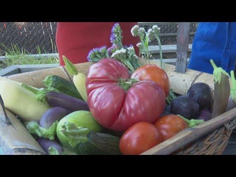 The health benefits of growing your own food