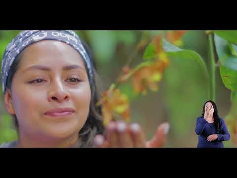 4 TRADUCCIÓN A SEÑAS COTACACHI